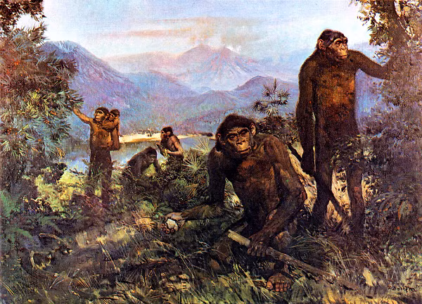 Bởi cơ thể người hiện đại đã phát triển để thích nghi với những chế độ ăn phù hợp môi trường sống mà vẫn đảm bảo sức khỏe.