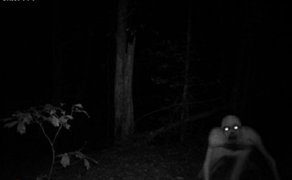 Quái vật Cohomo được mô tả với chiều cao 8 feet ~ 2,4m, có bộ lông trắng và bàn chân ba ngón. Đã có rất nhiều người nhìn thấy quái vật Cohomo ở Midwest suốt những năm 1970 đến những năm 2000.