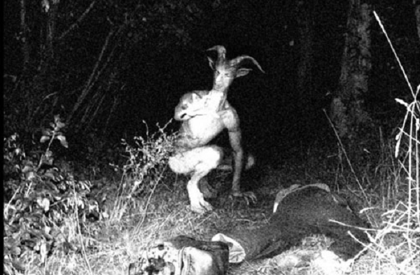 Sinh vật có hình dáng giống với nhân vật nửa người nửa dê trong thần thoại Hy Lạp có tên gọi Faun, được phát hiện lần đầu vào năm 1957 tại Forestville và Upper Marlboro, hạt Prince George thuộc tiểu bang Maryland (Mỹ).