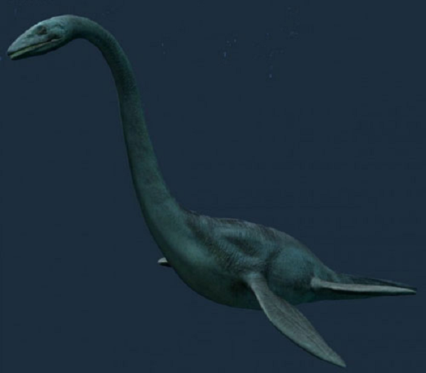 Theo nhiều báo cáo, quái vật hồ Michigan có dài hơn 50 feet ~ 15,2m, với một cái cổ dài, đầu nhỏ, toàn thân phủ bởi vảy màu xám.