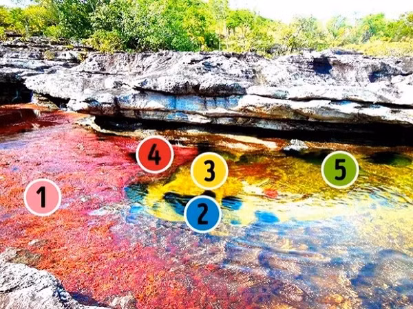 Dòng sông bí ẩn này dài khoảng 100km, nằm trong Công viên quốc gia Serrania de la Macarena, tỉnh Meta của Colombia. Đây được xem là một trong những kỳ quan thiên nhiên ngoạn mục nhất quốc gia Nam Mỹ nhờ vào màu sắc sống động của nó.