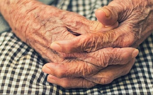 Chìa khóa để ngăn chặn quá trình này chính là việc điều khiển quá trình phân bào ăn mòn dần ADN của chúng ta khi già.