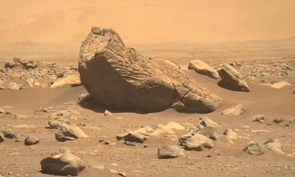 Trước thông tin này, nhiều người ủng hộ nhưng cũng có nhiều người tỏ ra vô cùng lo lắng bởi họ cho rằng không thể đảm bảo mọi người dân được bảo vệ khỏi vi khuẩn bên ngoài Trái đất.