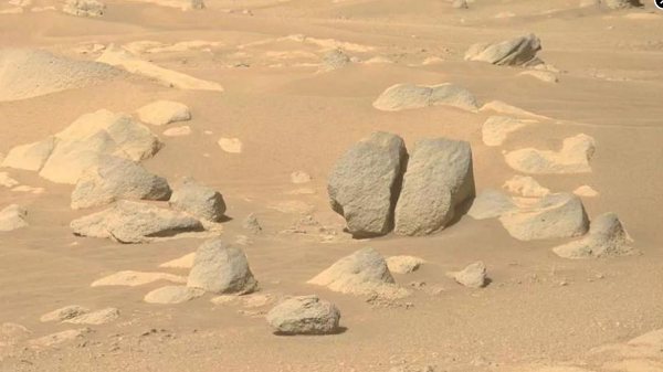 Peter Doran, nhà địa chất làm việc ở Đại học Bang Louisiana cho biết: "Tôi tin rằng xác suất có vi trùng ngoài hành tinh là thấp nhưng vẫn có khả năng chúng tồn tại".