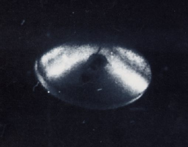 Carranza có được bản sao tấm ảnh gốc dạng âm bản từ một người bác, người này mới qua đời năm ngoái. Trong giai đoạn những năm 1970 – 1980, người bác này lấy được bức ảnh từ Viện Địa lý Quốc gia Costa Rica.