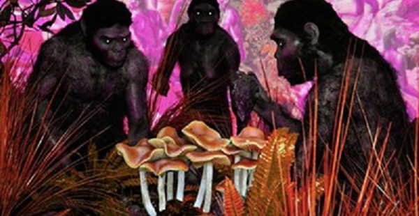 Điều này có lí giải rằng nhóm săn bắt hái lượm thời kỳ sau, ví dụ tổ tiên Homo sapiens chúng ta, không thể tiếp cận với một thế giới ngập tràn quái thú như thời cổ đại.