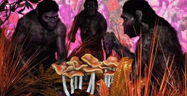 Điều này có lí giải rằng nhóm săn bắt hái lượm thời kỳ sau, ví dụ tổ tiên Homo sapiens chúng ta, không thể tiếp cận với một thế giới ngập tràn quái thú như thời cổ đại.