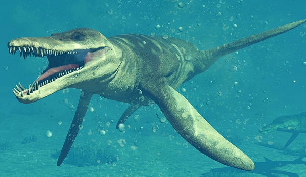 Thủy quái Kronosaurus sống vào giữa kỷ Cretaceous. Chúng có chiều dài tối đa là 10 mét nặng tới gần 7 tấn, được mệnh danh là loài động vật săn mồi tối cao vào thời điểm đó. Kronosaurus có cái đầu lớn, hàm răng khỏe cùng những chiếc răng có thể dài đến 7cm đặc biệt là chiếc lớn nhất có thể dài tới 30cm.