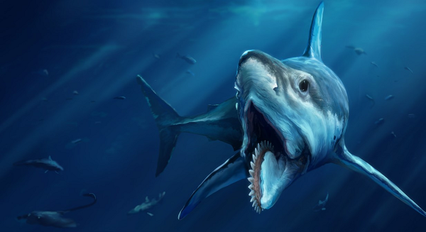 Helicoprion là thủy quái khổng lồ sống cách đây 250 triệu năm. Nó nặng gần nửa tấn và dài đến gần 8m, to hơn bất cứ loài cá nào ở đại dương. Cơ thể loài vật này rất giống cá mập ngoại trừ cụm răng xếp theo xoắn ốc - thứ vũ khí hạng nặng để chúng xé nát con mồi.