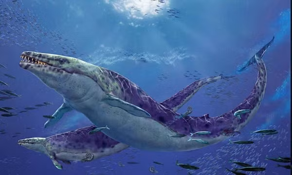 Basilosaurus là danh pháp khoa học của một chi cá voi sống từ 40 tới 34 triệu năm trước trong thế Eocen muộn. Basilosaurus trung bình dài khoảng 18 m và được coi là một trong những loài động vật lớn nhất trong thời đại của chúng.