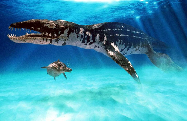 Tylosaurus là một loài thằn lằn biển Tylosaurus, một thằn lằn biển ăn thịt lớn liên quan chặt chẽ với thằn lằn hiện đại và rắn. Đây có lẽ là một trong những thương long lớn nhất thế giới.