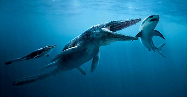 Liopleurodon là loài thằn lằn biển có chiều dài lên tới 6m. Chúng sống chủ yếu ở vùng biển châu Âu vào kỷ Juras. Bộ hàm của nó có thể dài tới 3m, với những chiếc răng vô cùng lớn.