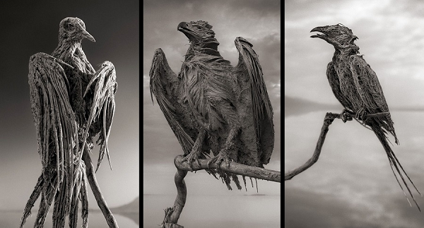 "Thủ phạm" gây ra hiện tượng kỳ lạ trên tại hồ Natron là ngọn núi lửa một triệu năm tuổi, có tên gọi Ol Doinyo Lengai, nằm ở phía nam hồ Natron. Dung nham từ ngọn núi chảy xuống mang theo lượng muối khoáng đặc biệt.