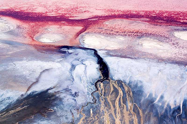 Và nếu bạn xuống tắm ở hồ này, các hóa chất trong nước sẽ đốt cháy da và mắt của bạn. Nếu một sinh vật uống nước, nó rất có thể sẽ chết do bị tổn thương nặng ở cấp độ tế bào, hệ thần kinh và gan.