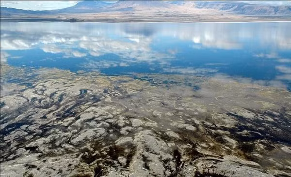 Trên thực tế, hồ Natron là một hồ nước tù, nước chỉ có thể bốc hơi mà không có sự trao đổi với bên ngoài. Nước hồ có một chất hóa học có tên là Natron - hỗn hợp với thành phần chính là Natri Bicacbonat (NaHCO3) và Natri Cacbonat (Na2CO3).