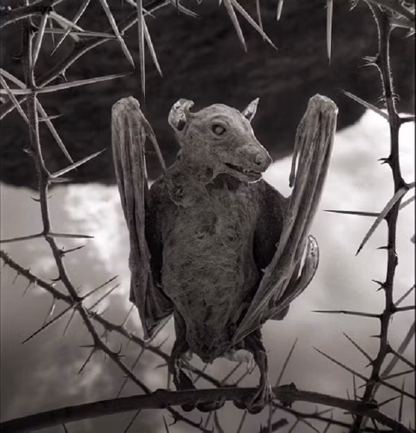 Chất này đi vào hồ thông qua các vật chất xói mòn từ các ngọn đồi xung quanh. Do không thể thoát đi mà cứ bốc hơi nên nước trong hồ có nồng độ kiềm rất cao.