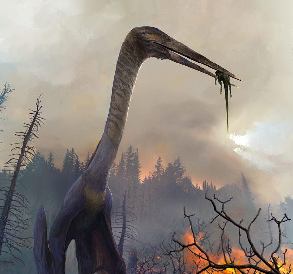 Ông Ortiz cho biết: "Hiện chúng tôi không có hồ sơ về bất kỳ họ hàng gần nào thậm chí có sự thay đổi cơ thể tương tự như những con quái vật này".