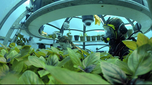 Công ty không chỉ thu hoạch thành công một loạt hoa màu từ các khối cầu sinh quyển mà còn kết luận cây trồng trong môi trường này giàu dưỡng chất hơn cây trồng theo phương pháp truyền thống.