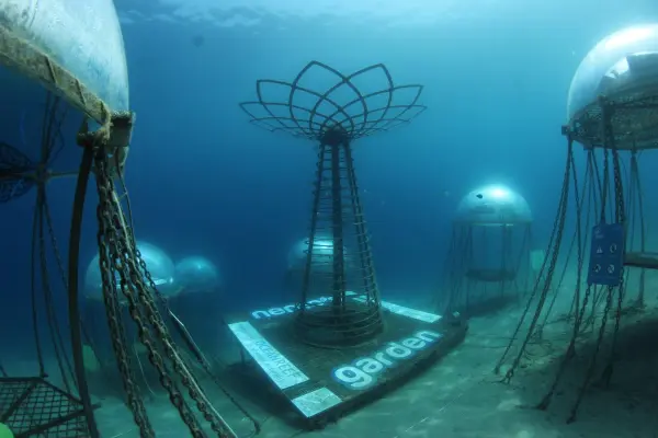 Vườn Nemo được hỗ trợ bởi Siemens Digital Industries Software, cho phép các nhà nghiên cứu theo dõi khối cầu sinh quyển từ xa và thúc đẩy chu kỳ sản xuất và mở rộng quy mô.