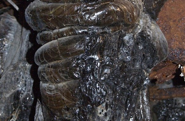 Thậm chí đến ngày hôm nay, hơn 33 năm sau thảm họa, nó đang bị đốt nóng bởi sự phân rã phóng xạ và gây nguy hiểm cho sức khỏe. Nó quá cứng và đậm đặc, không mũi khoan bình thường nào có thể xuyên thủng.