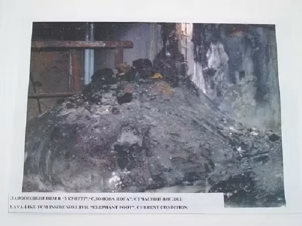 Phó giám đốc Artur Korneyev đã đến Chernobyl nhiều hơn bất kỳ ai, đồng nghĩa với việc bị nhiễm xạ nhiều nhất. Được biết, ông đã dựng máy ảnh hẹn giờ để chụp tấm hình đặc biệt này. Kết cấu mờ ảo, sần sùi của bức ảnh được cho là do lớp bức xạ chết người của “Chân Voi”, ngay cả khi nó đã hình thành từ 10 năm trước.