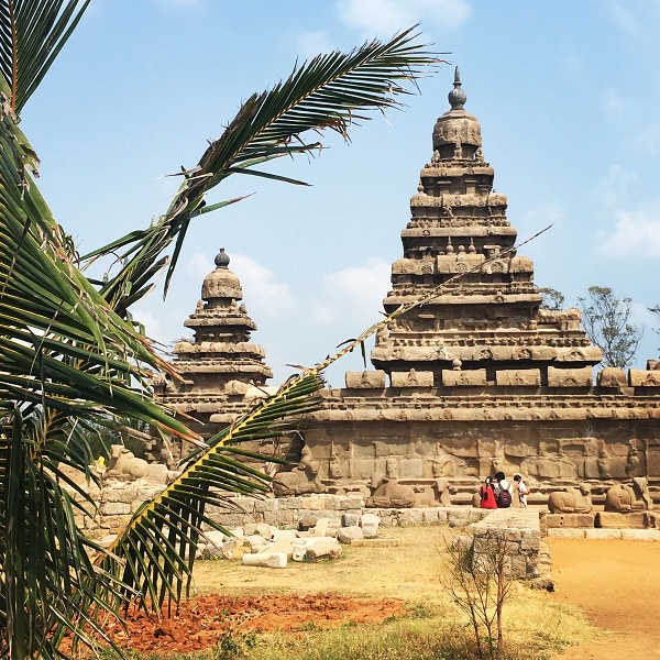 Lịch sử của Tamil Nadu rất được quan tâm bởi nay từng là vùng ngự trị của Đế chế Tamil vĩ đại, đã vào thời cực thịnh từ thế kỷ thứ tư trước Công Nguyên, được công nhận là Thời kỳ Vàng của thành tựu văn hóa miền Nam Ấn Độ.