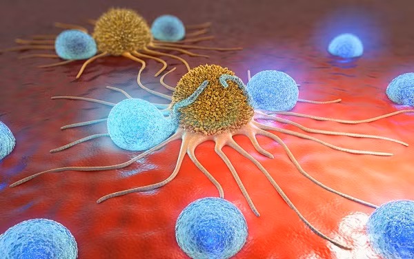 Tuy nhiên, nhiều nhà khoa học cho rằng việc kéo dài tuổi thọ của con người không thực sự tốt. Nếu loài người có thể bất tử, dân số sẽ tăng lên quá nhiều, tài nguyên cạn kiệt và tất cả chúng ta cũng như Trái đất đều sẽ bị hủy hoại nghiêm trọng.