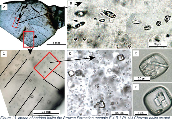 Tinh thể halite đóng vai trò như một chiếc quan tài hoàn toàn khép kín, cộng với nước mặn chứa đựng bên trong, đã biến sự sống cổ đại thành những xác ướp thuộc loại tốt nhất thế giới.