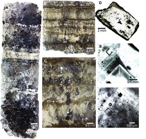 Một số tinh thể có nồng độ vi sinh vật đặc biệt cao cùng nhiều loại chất hữu cơ nghi có nguồn gốc sinh học bên trong. Halite là tên khoáng chất của muối, hoặc natri clorua; nó được gọi là muối mỏ khi ở dạng đá.