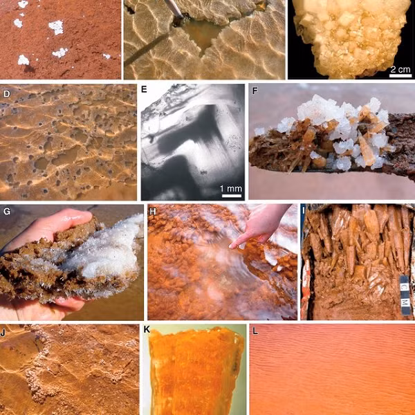 Halite cũng có thể hình thành gần các hồ do sự bay hơi của nước muối. Những mỏ muối này thường được tìm thấy dọc theo các hồ muối ở những vùng khô hạn, chẳng hạn như gần Thành phố Salt Lake, Utah.