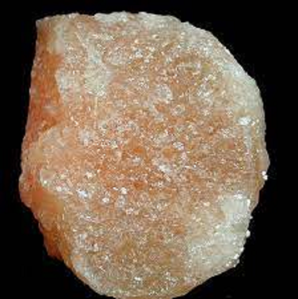 Halite dùng trong nghiên cứu được lấy từ lõi trầm tích khoan ở độ sâu 1.481-1.521 m. "Xác ướp" của các sinh vật trên được phát hiện ở tinh thể halite từ Hệ tầng Browne đại Nguyên Sinh ở miền Trung nước Úc.