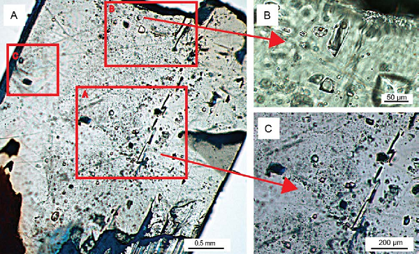 Halit thường có màu trắng hoặc màu trong, nhưng nó có thể có nhiều màu khác nhau bao gồm xanh lam, tím, hồng và vàng do tạp chất. Halit hình thành nhờ sự bay hơi của nước biển trong một thời gian dài và nó được coi là một khoáng chất trầm tích.