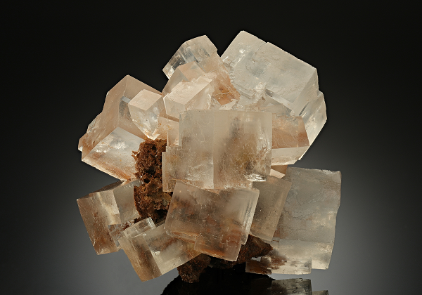 Các nhà khoa học có thể tiến hành tìm đến những nơi có thể chứa halite giống miền Trung nước Úc, sau khi chứng minh halite dường như là thứ phù hợp nhất nếu các nhà khoa học muốn tìm thấy một "xác ướp" ngoài hành tinh.