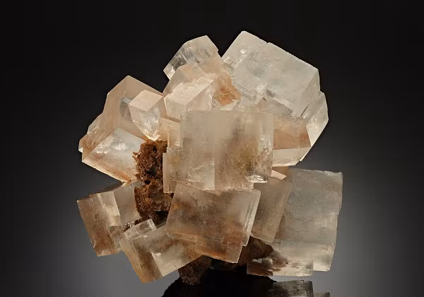 Các nhà khoa học có thể tiến hành tìm đến những nơi có thể chứa halite giống miền Trung nước Úc, sau khi chứng minh halite dường như là thứ phù hợp nhất nếu các nhà khoa học muốn tìm thấy một "xác ướp" ngoài hành tinh.