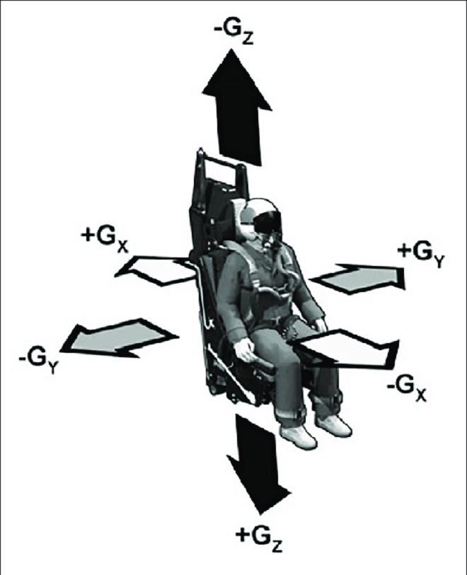 Ngoài tác động đến tuần hoàn, lực G tăng lên còn làm gián đoạn hô hấp bằng cách chuyển máu đến các đáy phổi, làm xẹp các túi khí nhỏ (gọi là phế nang) và tạo ra sự không tương thích về thông khí/ bơm máu chung do không khí vẫn còn ở phần trên của phổi, nơi có rất ít lưu lượng máu.