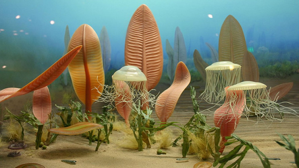 Dữ liệu đã hé lộ các cấu trúc quần xã ngày càng phức tạp ngay trong kỷ nguyên mà trước đây người ta vẫn nghĩ động vật còn đơn giản và ít ỏi này.