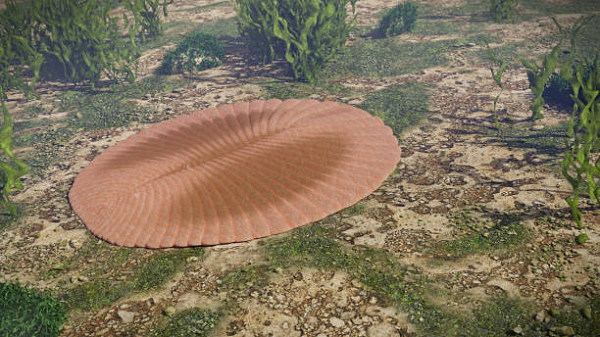 Sau khi chứng kiến vụ bùng nổ sinh học ngoạn mục đầu tiên của Trái Đất với các động vật sơ khai ra đời khoảng 580 triệu năm trước, kỷ nguyên Ediacaran kết thúc vào 543 triệu năm trước với số sinh vật còn lại khá ít ỏi.