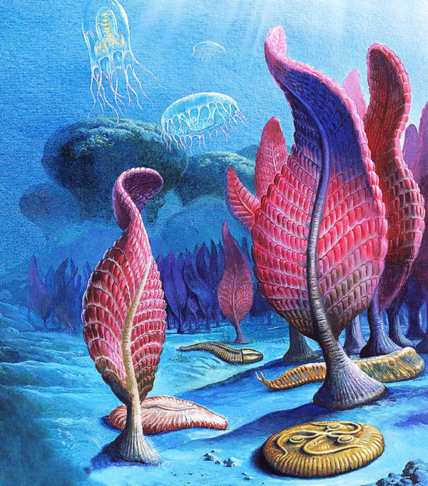 Nguyên nhân dẫn đến tuyệt chủng thời kỳ này là do sự cạnh tranh giữa các loài: Kỷ Ediacaran là một thế giới quái vật thực thụ, nơi các sinh vật kỳ dị, khó tưởng tượng triệt tiêu nhau, dẫn đến "tận thế".