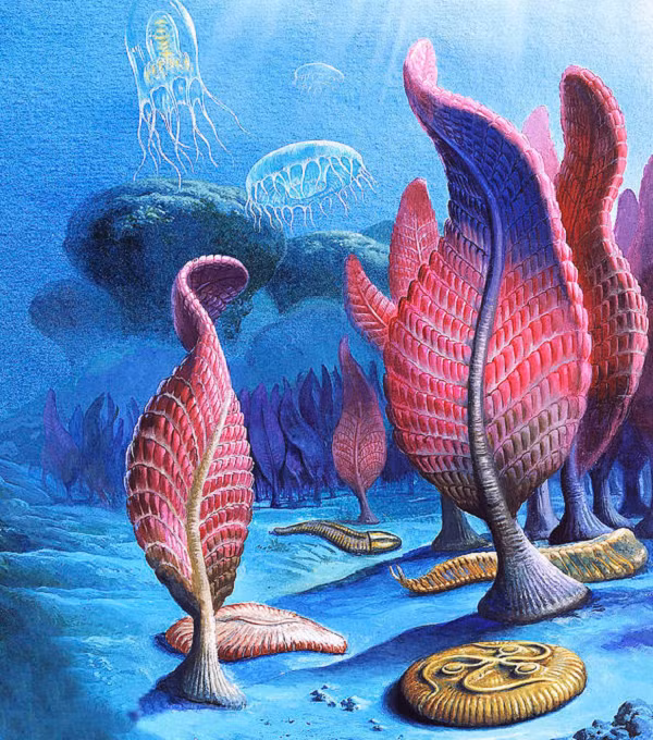 Nguyên nhân dẫn đến tuyệt chủng thời kỳ này là do sự cạnh tranh giữa các loài: Kỷ Ediacaran là một thế giới quái vật thực thụ, nơi các sinh vật kỳ dị, khó tưởng tượng triệt tiêu nhau, dẫn đến "tận thế".