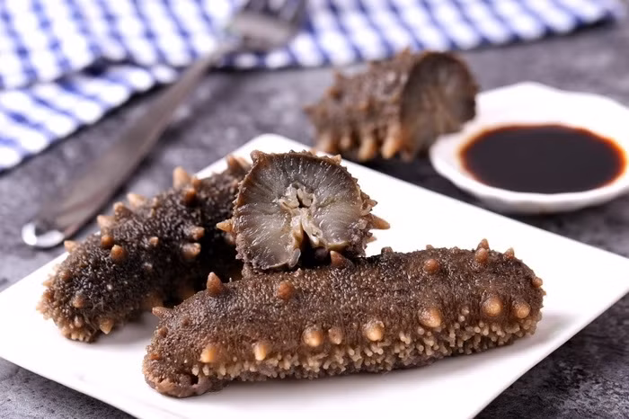 Hải sâm mất từ 2 đến 6 năm mới có thể trưởng thành và sinh sản nên việc phục hồi số lượng của chúng là điều không hề dễ dàng.