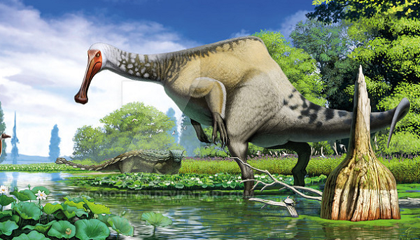 Therizinosauridae là một chủng loài kì lạ, bí ẩn thuộc nhóm khủng long chân thú. Chúng nổi bật với chiếc cổ dài và bộ móng vuốt to lớn có thể đạt 1 mét ở nhiều cá thể.