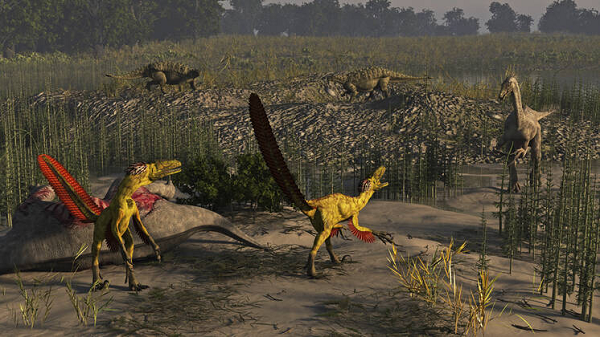 Đây là mẫu vật thứ 3 họ Therizinosauridae được khai quật tại Nhật Bản, các mẫu vật trước vì quá hạn hẹp (một mẫu chỉ gồm chiếc răng duy nhất, một mẫu là một phần sọ, răng và xương hàm) nên chưa được khoa học mô tả.