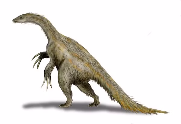 Loài khủng long này được đặt tên là Paralitherizinosaurus japonicus, từng đi lang thang khắp địa cầu vào khoảng 72 triệu năm trước, tức vào kỷ Phấn Trắng.