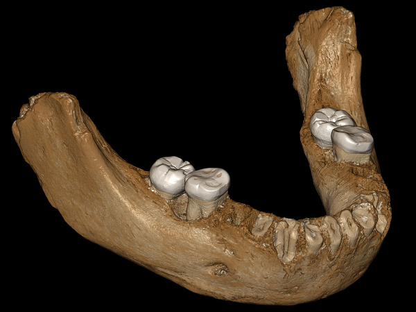 Đến nay, có rất ít thông tin về người Denisovan. Các nhà khoa học lần đầu phát hiện nhóm người này khi tìm thấy xương ngón tay của một cô gái trong hang động ở Siberia vào năm 2010.