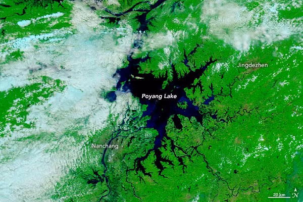 Theo hồ sơ liên quan từ cục Hàng hải thành phố Cửu Giang và biên niên sử huyện Đô Xương, chỉ riêng trong ngày 8 tháng 3 năm 1985 đã có tới 13 chiếc tàu lần lượt bị đắm, đây là điều hiếm thấy trong lịch sử đắm tàu trên thế giới.