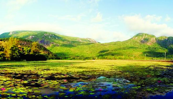 Trong gần 30 năm kể từ đầu những năm 1960 đến cuối những năm 1980, đã có hơn 200 tàu bị chìm, hơn 1.600 người bị mất tích và chỉ có chưa tới 30 người còn sống sót khi đi qua Hồ PoYang.