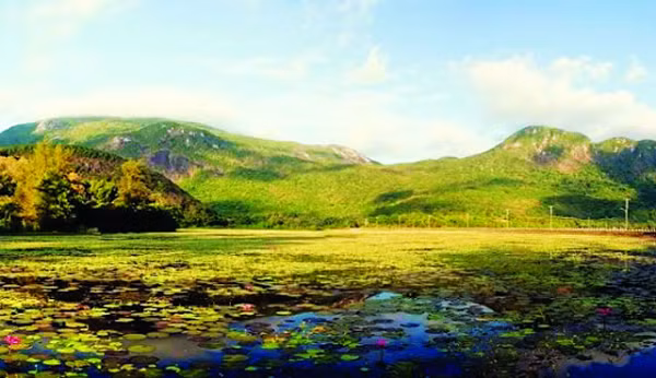 Trong gần 30 năm kể từ đầu những năm 1960 đến cuối những năm 1980, đã có hơn 200 tàu bị chìm, hơn 1.600 người bị mất tích và chỉ có chưa tới 30 người còn sống sót khi đi qua Hồ PoYang.