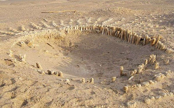 16 năm sau nhà thám hiểm Dư Thuần Thuận cũng gặp nạn tại đây nên khu vực này càng đem lại cho con người cảm giác thần bí. Hồ Lop Nur không cây cối, không sông suối, nhiệt độ lên tới 70 độ C khiến cho không loài chim nào dám bay qua đây.