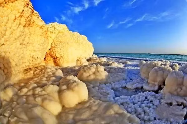 Lop Nur hay La Bố Bạc là một nhóm các hồ muối nhỏ nằm giữa sa mạc Taklamakan và sa mạc Kuruktag, phía đông Tân Cương. Năm 1980, nhà khoa học nổi tiếng Trung Quốc Bành Gia Mộc mất tích trong một cuộc khảo sát.