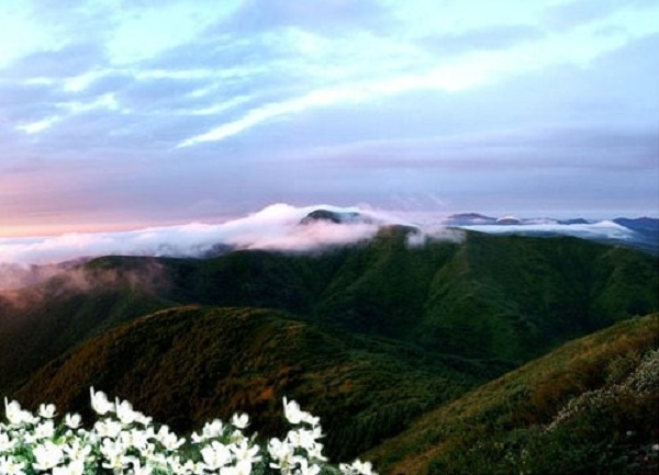 Cứ 5 giờ chiều là những con báo xuất hiện, đây là khu bảo tồn không có hướng dẫn viên du lịch, vùng đất chỉ dành cho các nhà khoa học thám hiểm hoặc những phượt thủ thích phiêu lưu.